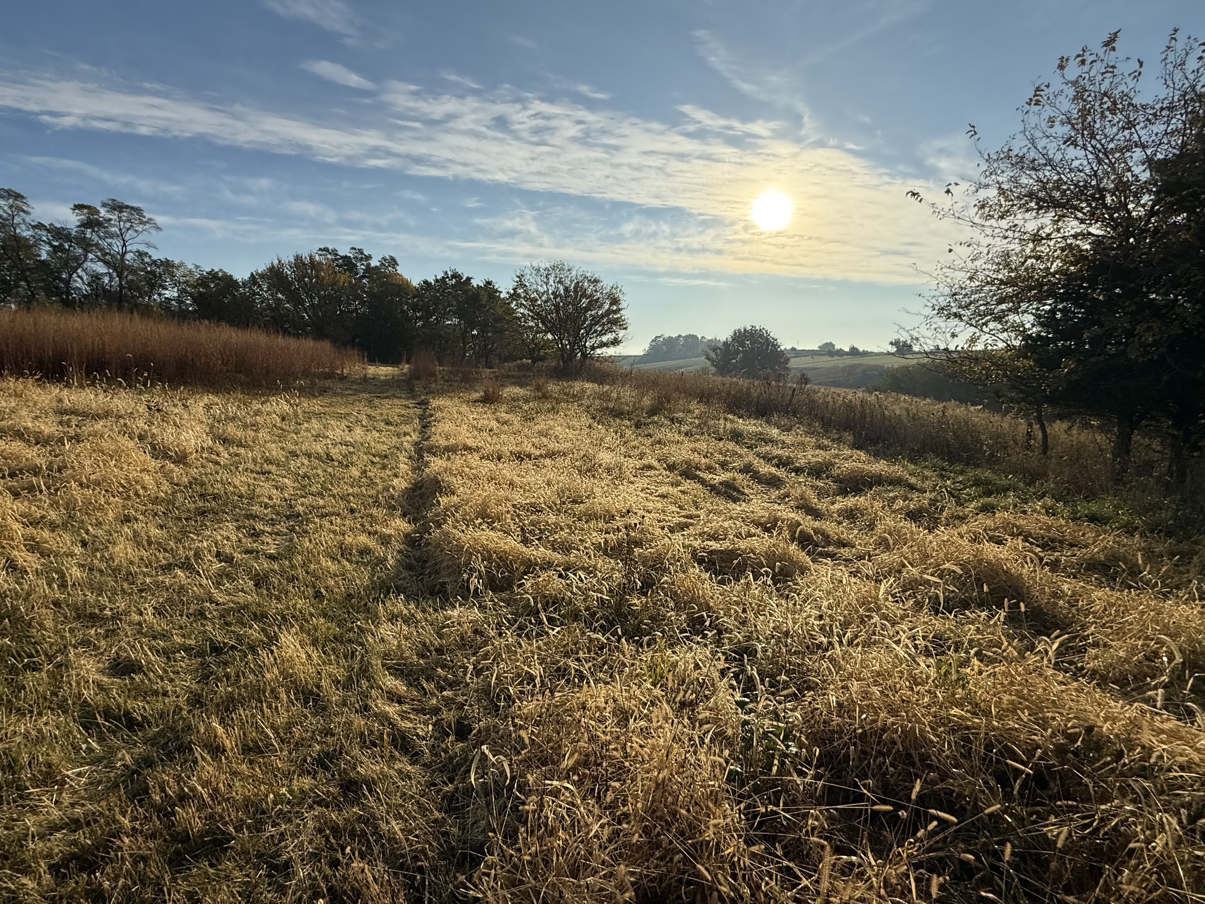 Listing Photo: Photo Oct 30 2025, 8 52 45 AM